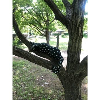図工舎ごとうゆきが作った大きな黒猫のクレイドールが六甲アイランドの公園の木にディスプレイされている　