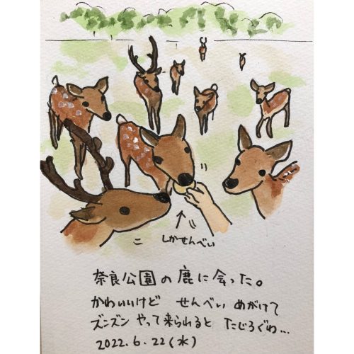 図工舎ごとうゆきのブログ一天一画　奈良公園の鹿に鹿せんべいをやる